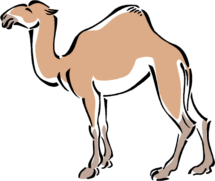 Bactrian Camel Clip Art - Desert Camel Clipart (771x808)