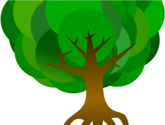 Cartoon Tree Roots - Tree With Roots .png (640x480)