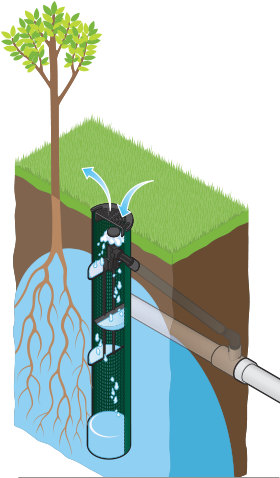 Product Tabs - Adansonia (351x499)
