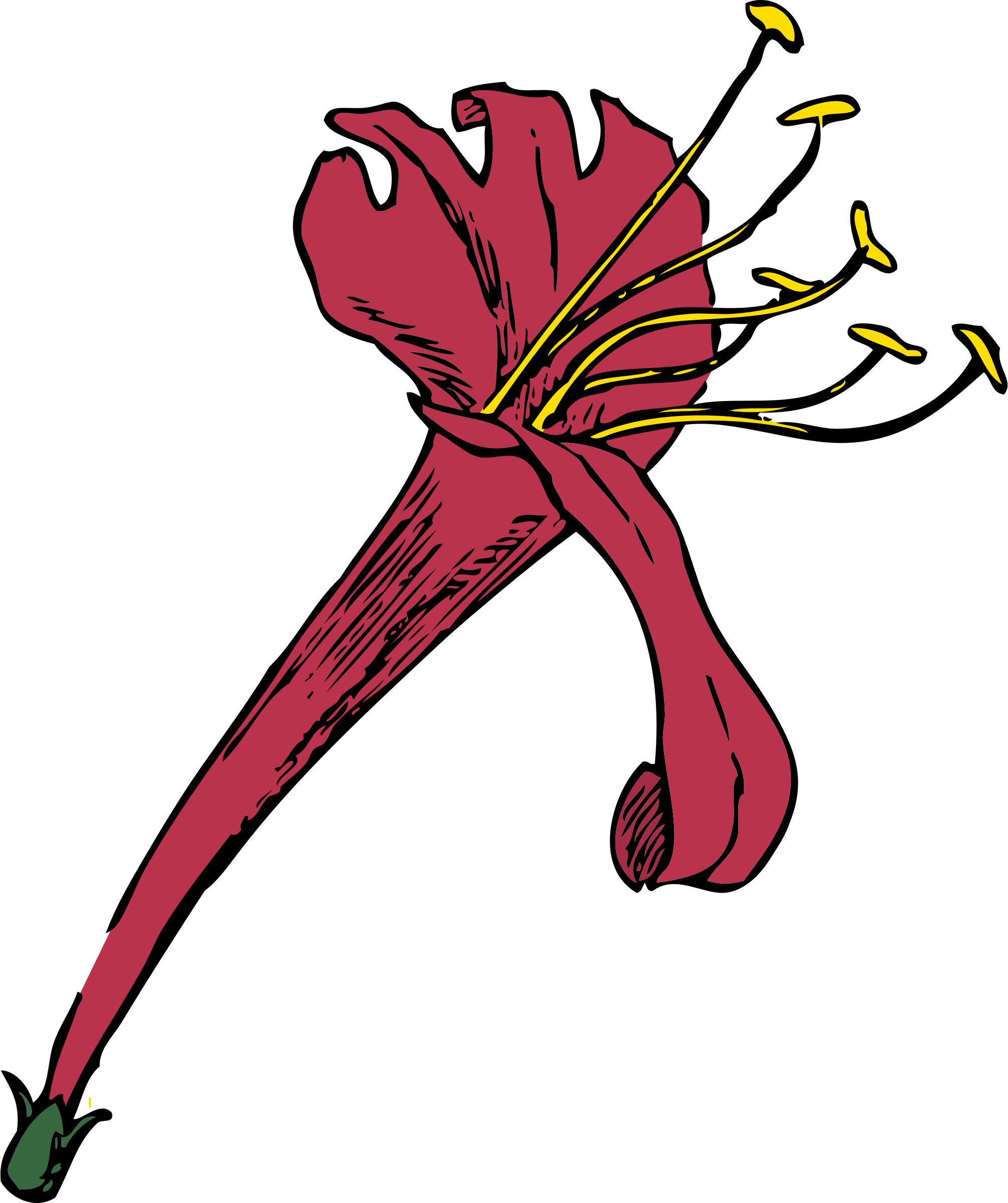 Big Image - Honeysuckle Drawing Easy (2010x2400)