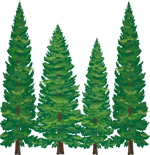 Illustration Of A Pine Tree Scenery Clip Art Vector - Cartoon Pine Tree Png (567x609)