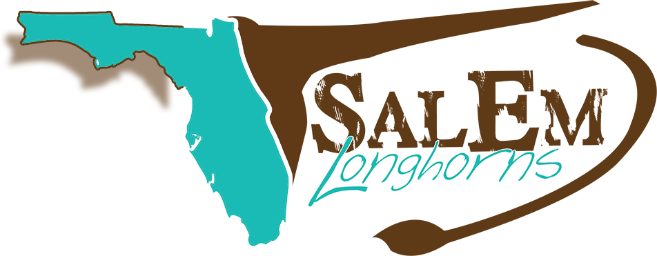 Welcome To Salem Texas Longhorns Located In Ocala, - Graphic Design (952x371)