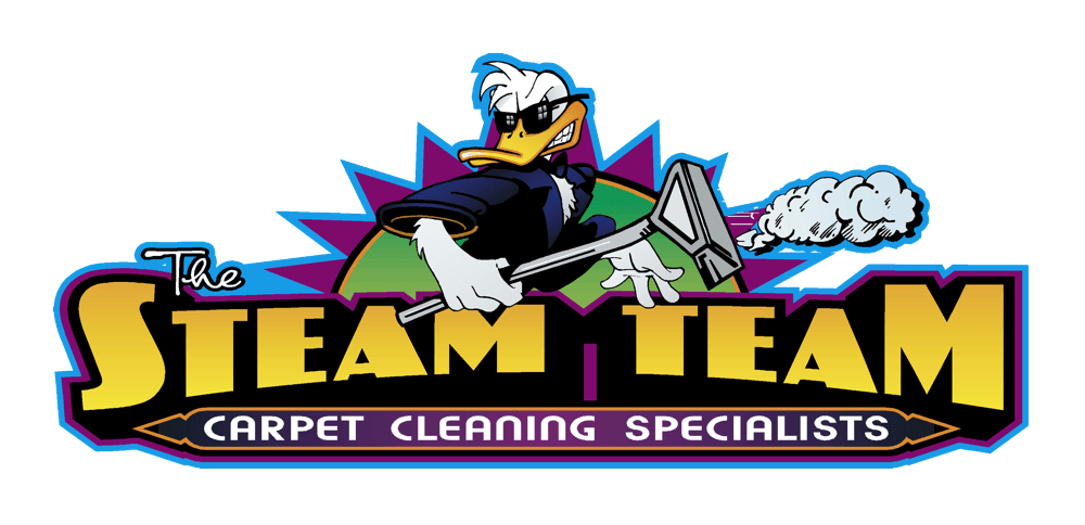 Steam Team (1000x484)