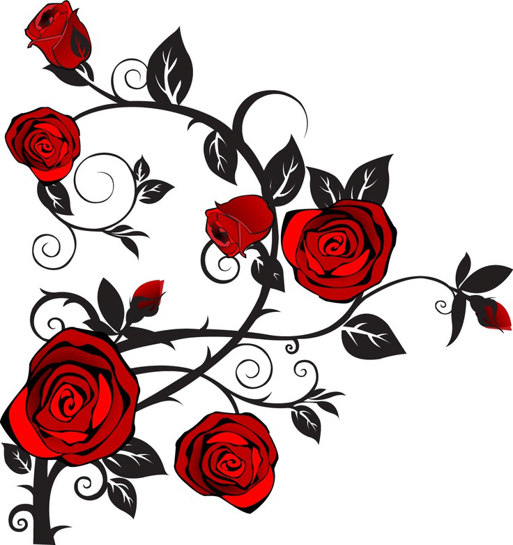 More Information - Climbing Rose Clip Art (736x781)