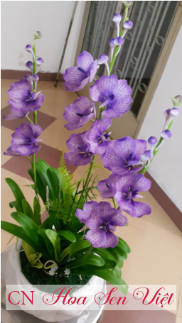 Trudelia Căn Cứ Vào Những Cây Mọc Ở Hy Mã Lạp Sơn, - Artificial Flower (500x454)