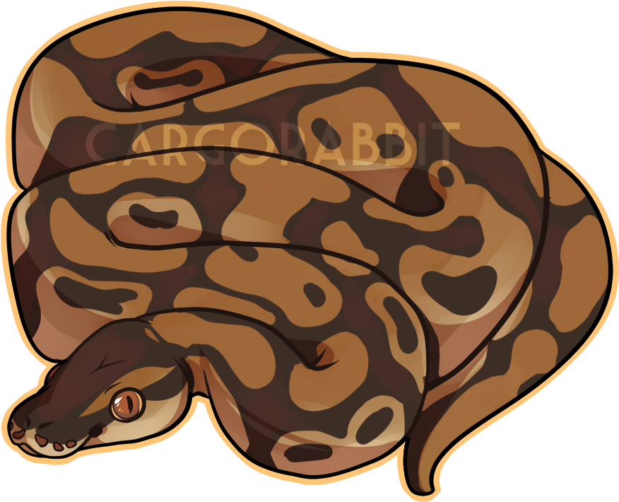 Ball Python Clipart Orange - Ball Python Cartoon - (1000x1000) Png ...