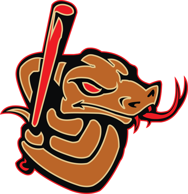 Copperhead Clinic At Desales University - Snake Baseball Logo (622x640)
