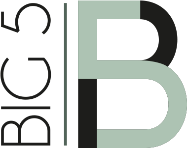 Big African 5 Logo (1000x300)