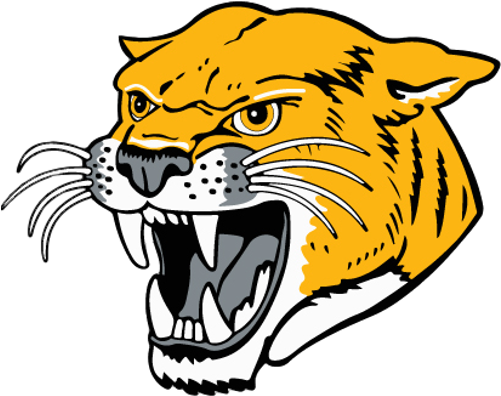 School Logo Image - Illini Central Cougars (500x500)