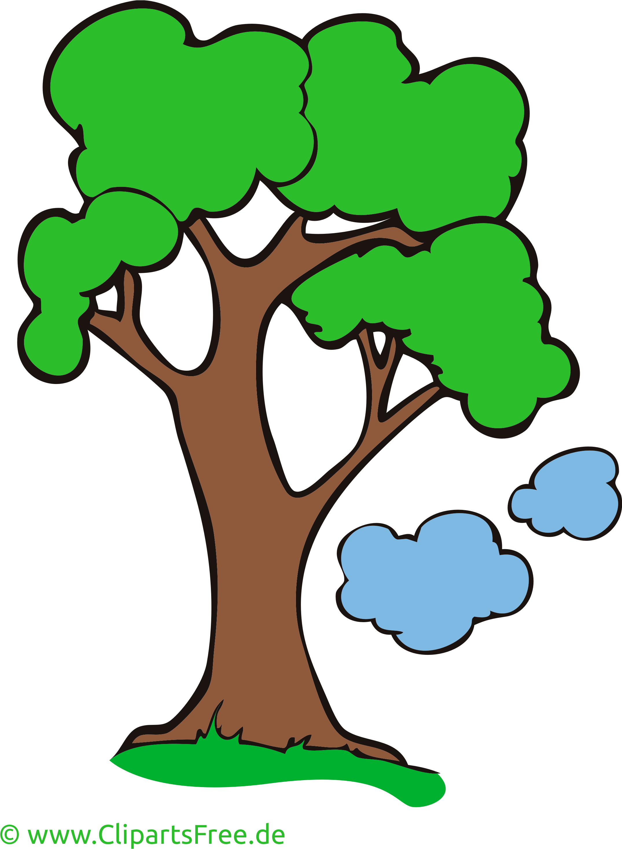 Baum Cartoon (2268x3118)