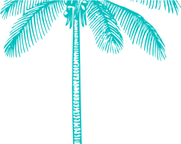 Palm Tree Clipart Turquoise - Uber Decals Vinyl Wall Decal Sticker Coconut Palm Tree (640x480)
