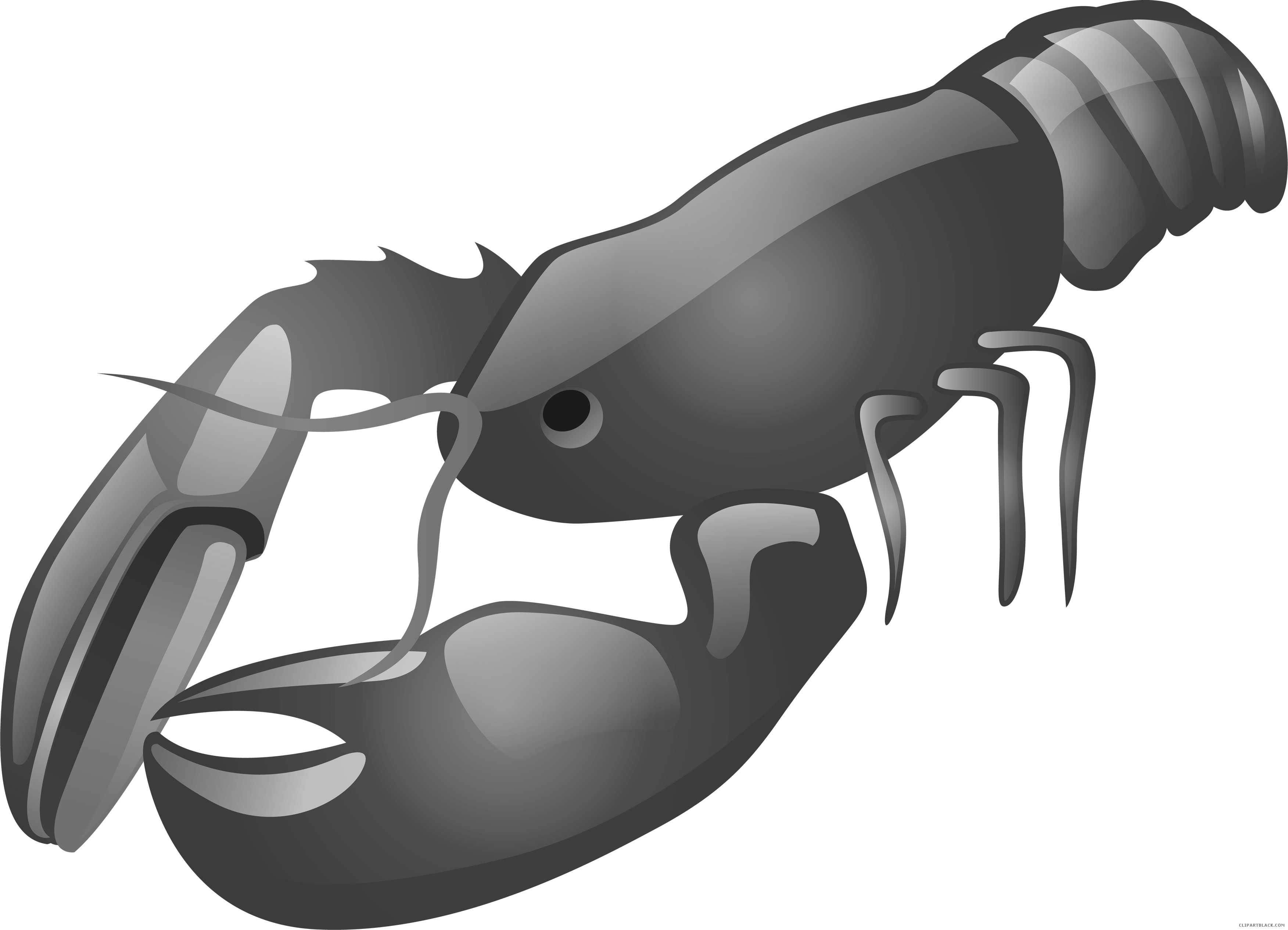Lobster Animal Free Black White Clipart Images Clipartblack - Lobster Clipart (3505x2531)