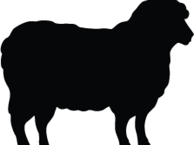 Lamb Clipart Silhouette - Sheep Silhouette Clip Art (1024x766)