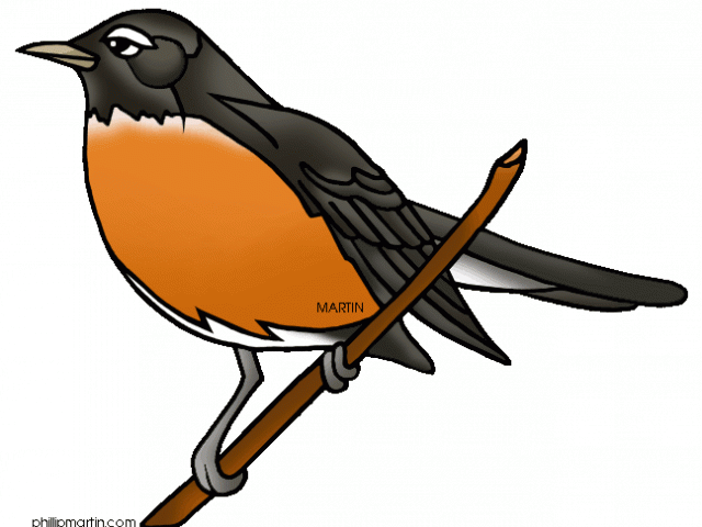 Robin Clipart Robin Egg - American Robin Robin Clip Art (640x480)