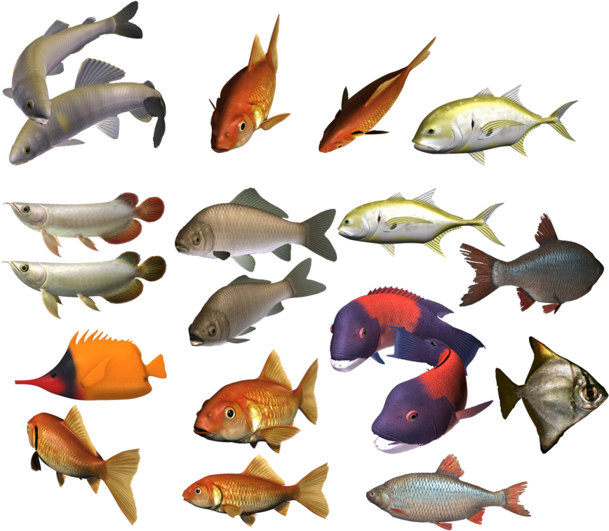 Marine Fish Clipart Colour Fish - School Of Fish Transparent (900x770)
