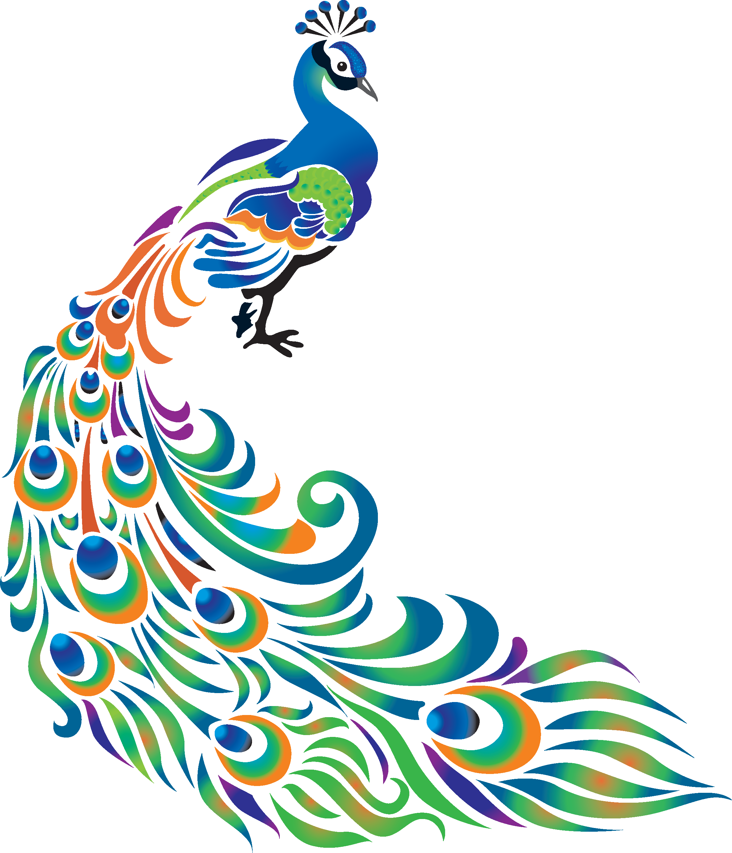Drawing Peafowl Art Clip Art - Peacock Images For Drawing (2373x2763)