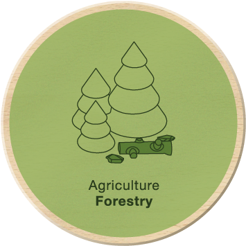 Nature In Cities Brings Many Benefits To Urban Living - Christmas Tree (400x400)