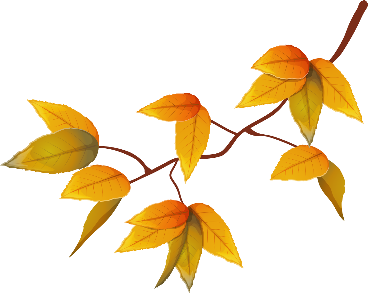 Yellow Autumn Adobe Illustrator Illustration - Autumn (1181x1181)