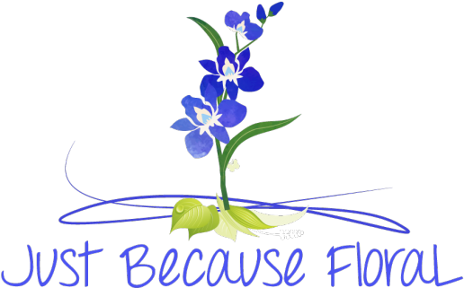 Just Because Floral - Bulky & Beauteous By Mary E Thompson 9781944090111 (595x595)