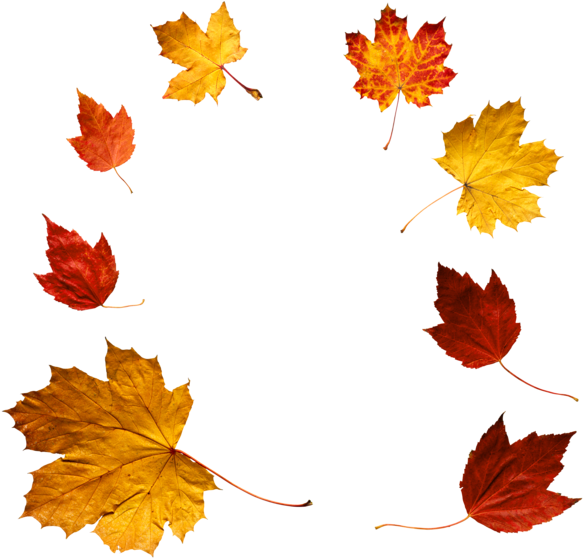 Autumn Leaves Png Clipart - Autumn Leaves Photo Png (600x573)