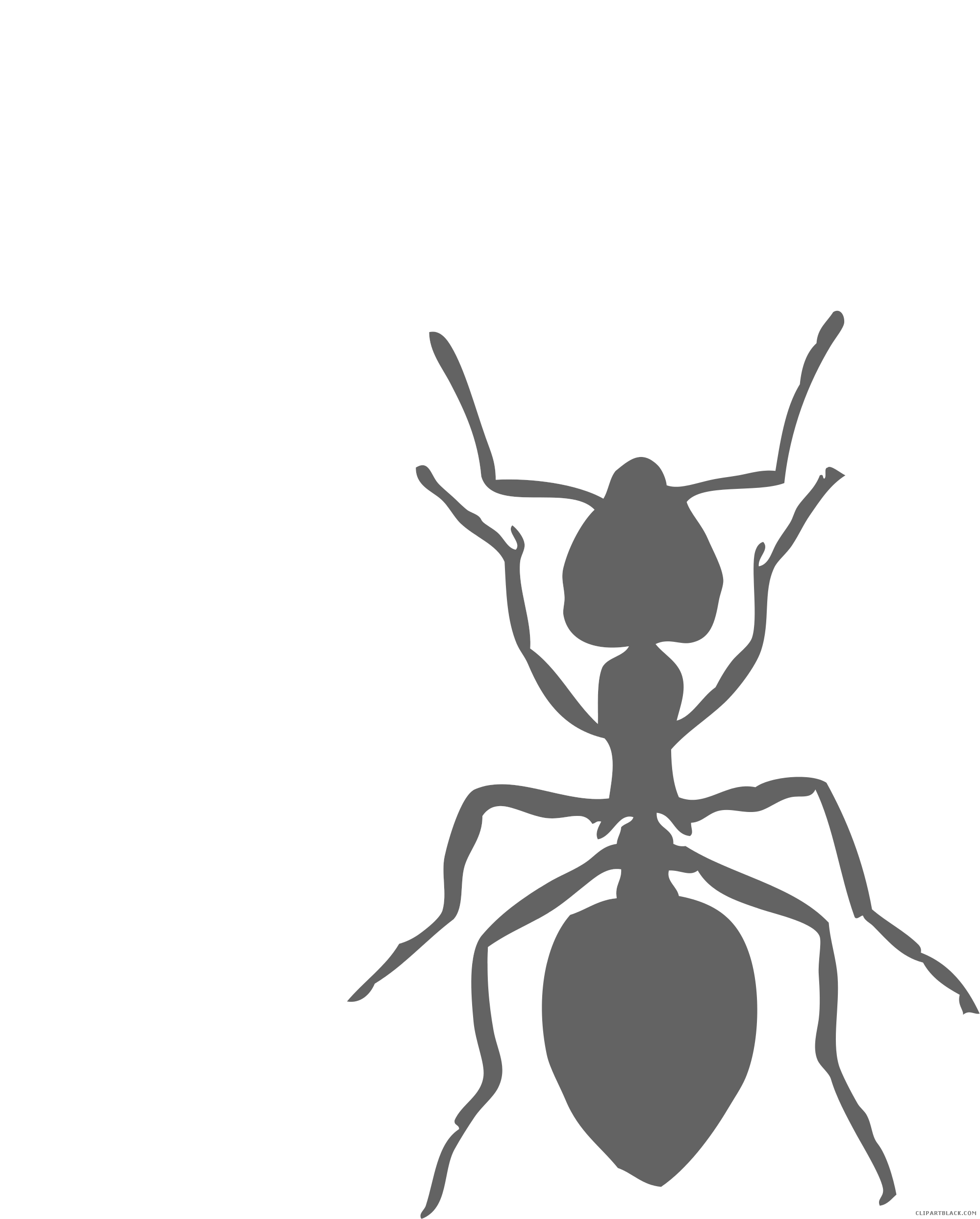 Black And White Ants Animal Free Black White Clipart - Ant Clip Art Black And White Ant (2000x2492)