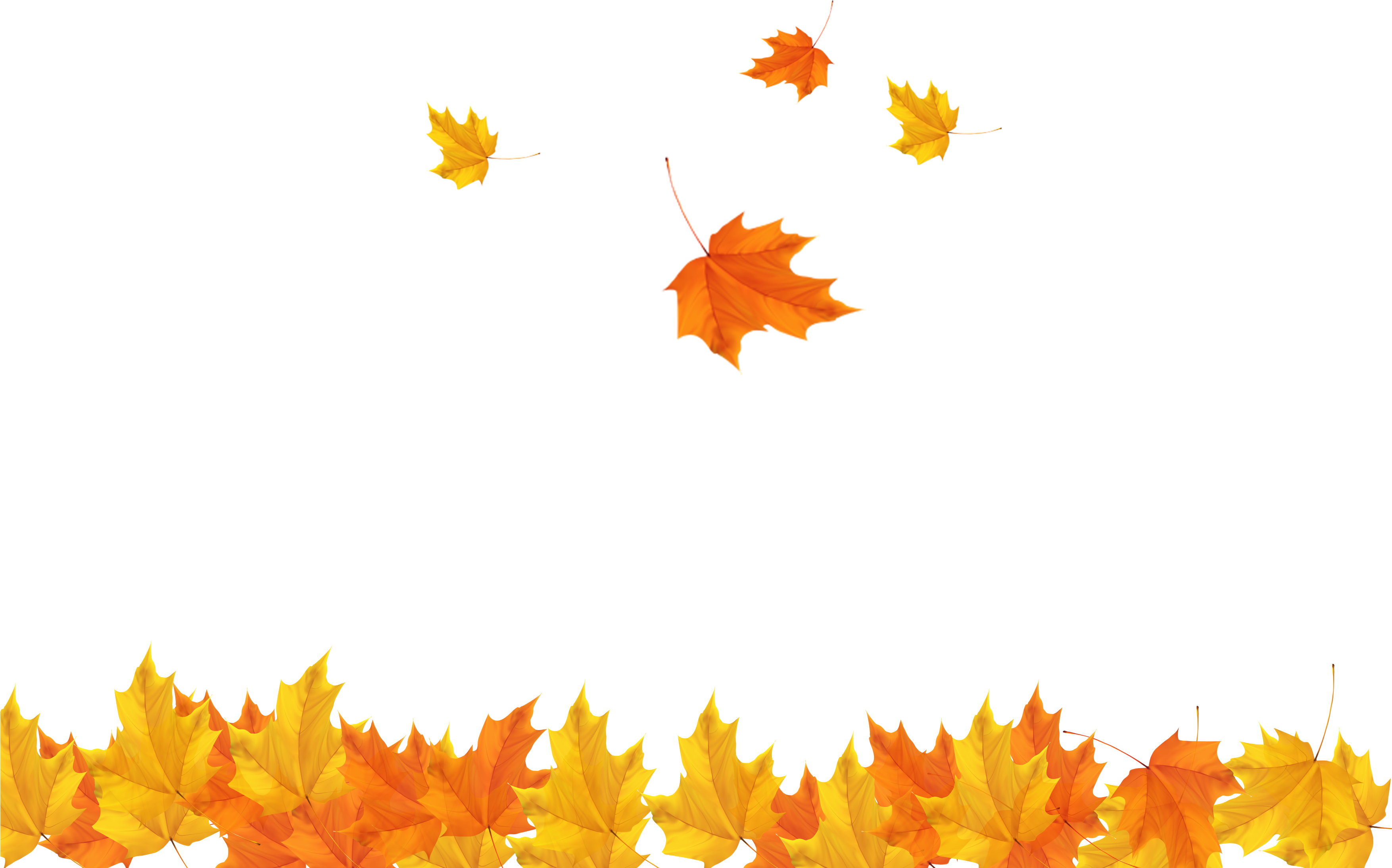 Autumn Leaf Clip Art - Transparent Background Maple Leaves Png (3508x2480)