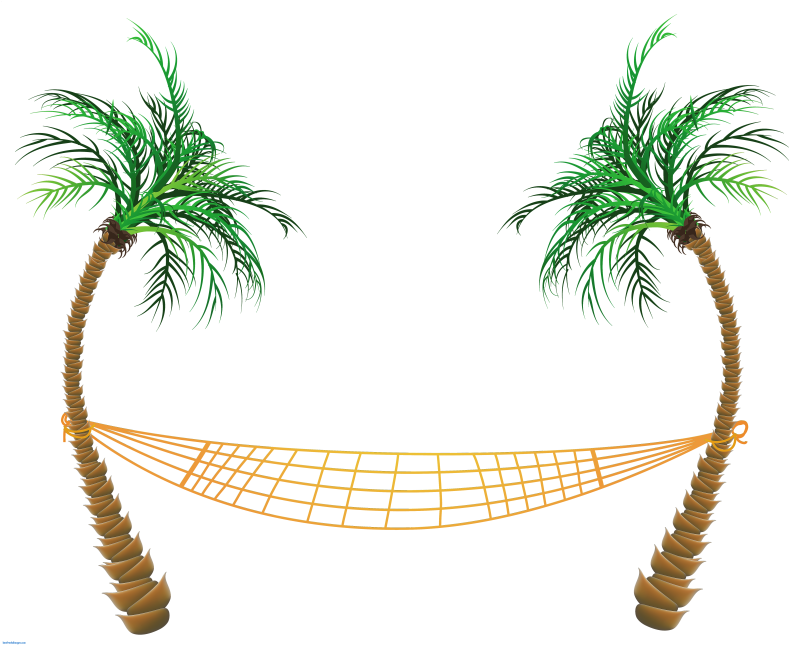 Pin Palm Tree Christmas Tree Clip Art - Palm Trees Hammock Art (800x645)