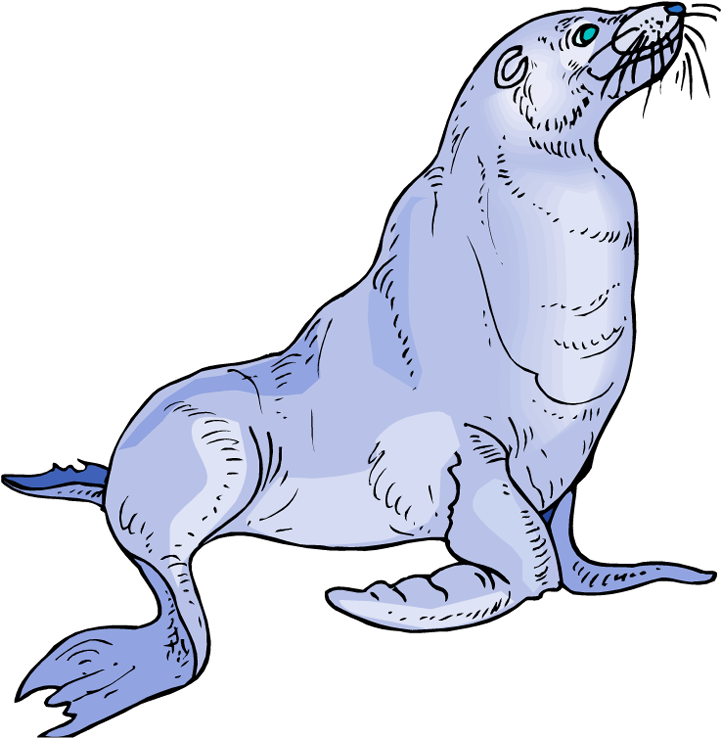Free Sea Lion Clipart Rh Wildlife Animals Com Octopus - Sea Lion Clipart Png (732x750)