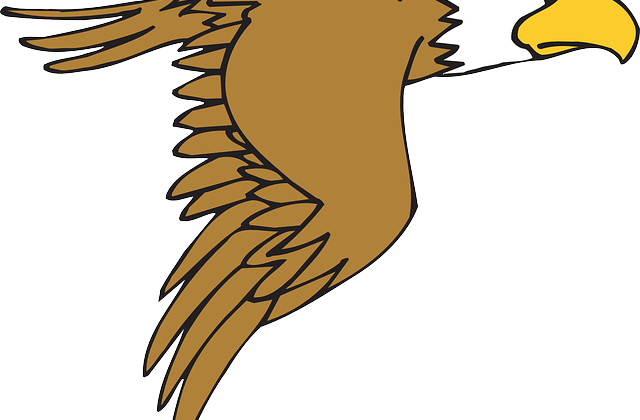 Bald Eagle Drawing Clip Art - Eagle Clip Art (640x420)