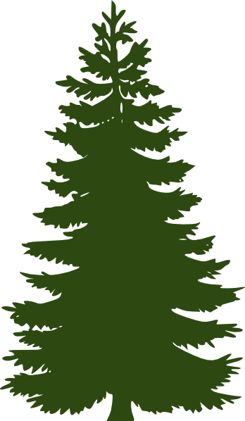 21 Best Green Pine Tree Clipart - Green Pine Tree Silhouette (348x598)