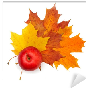 Beautiful Maple Leaf And Red Apple Isolated Wall Mural - Autumn (400x400)