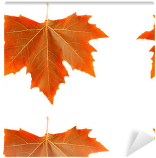 Maple Leaf (400x400)