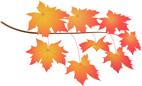 Leaves Red - Maple Leaf (541x387)