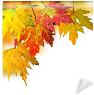 Fallende, Bunte Blätter Wall Mural • Pixers® • We Live - Autumn (400x400)