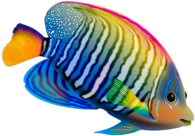 Cute Clipartcolorful Fishyandexart - Pescados A Colores (778x678)