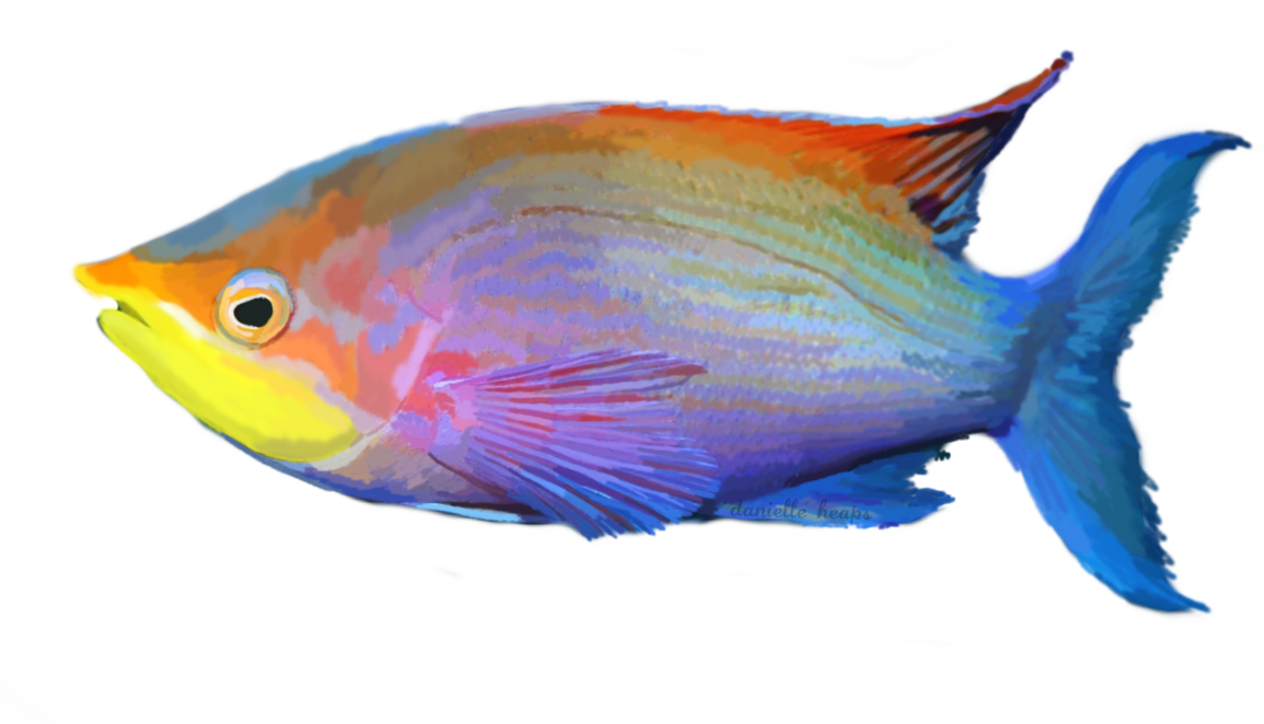 Tropical Fish By Grafixgirlireland On Deviantart - Tropical Fish Png (1173x681)