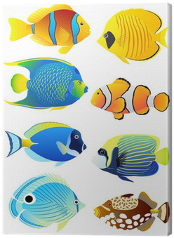 Coral Reef Fish Clipart (400x400)