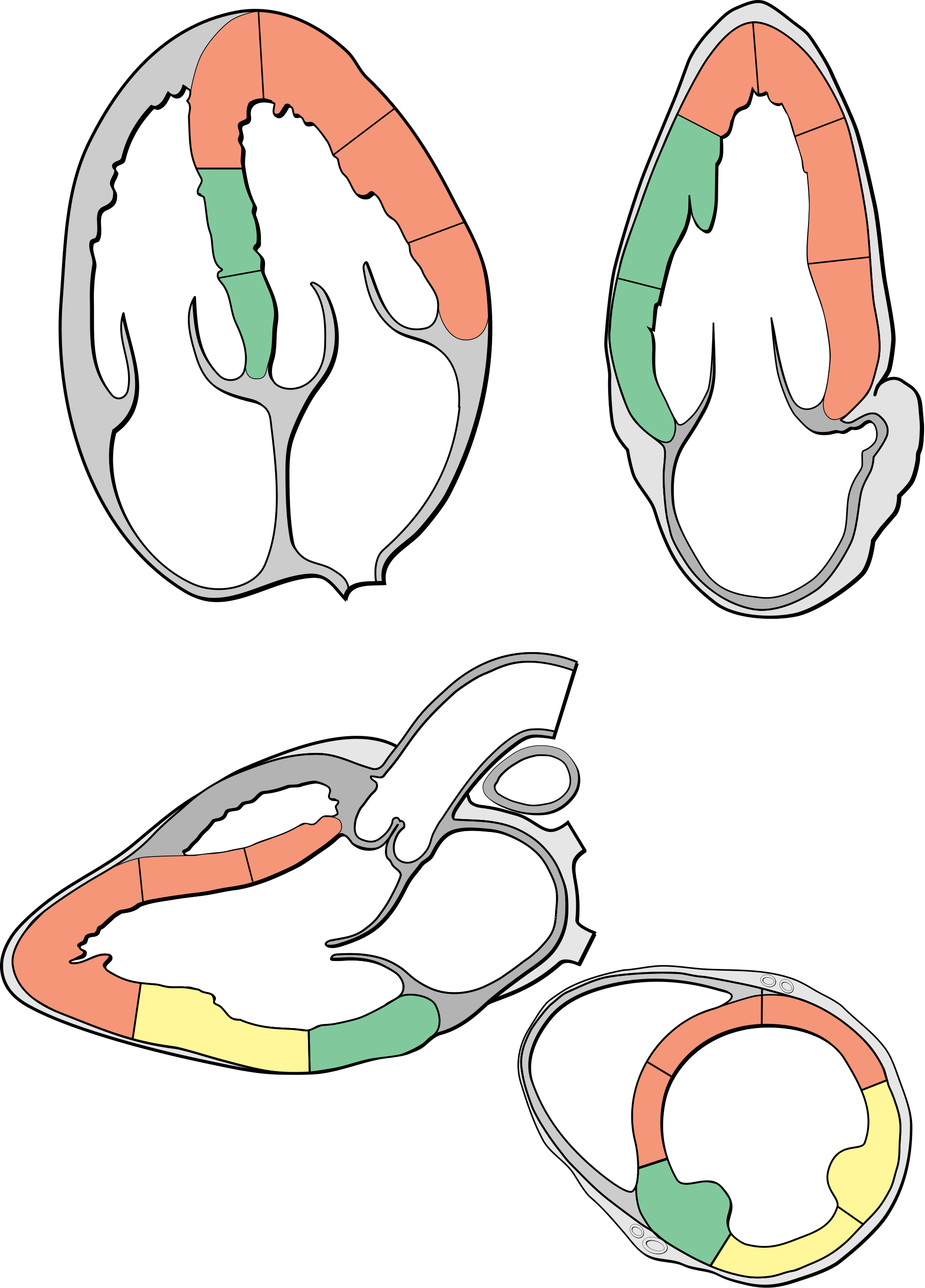 Open - Echo Views Of The Heart (2000x2785)