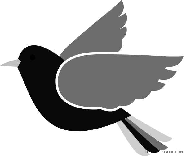 Bluebird Animal Free Black White Clipart Images Clipartblack - Png Clipart Bird Png (600x505)