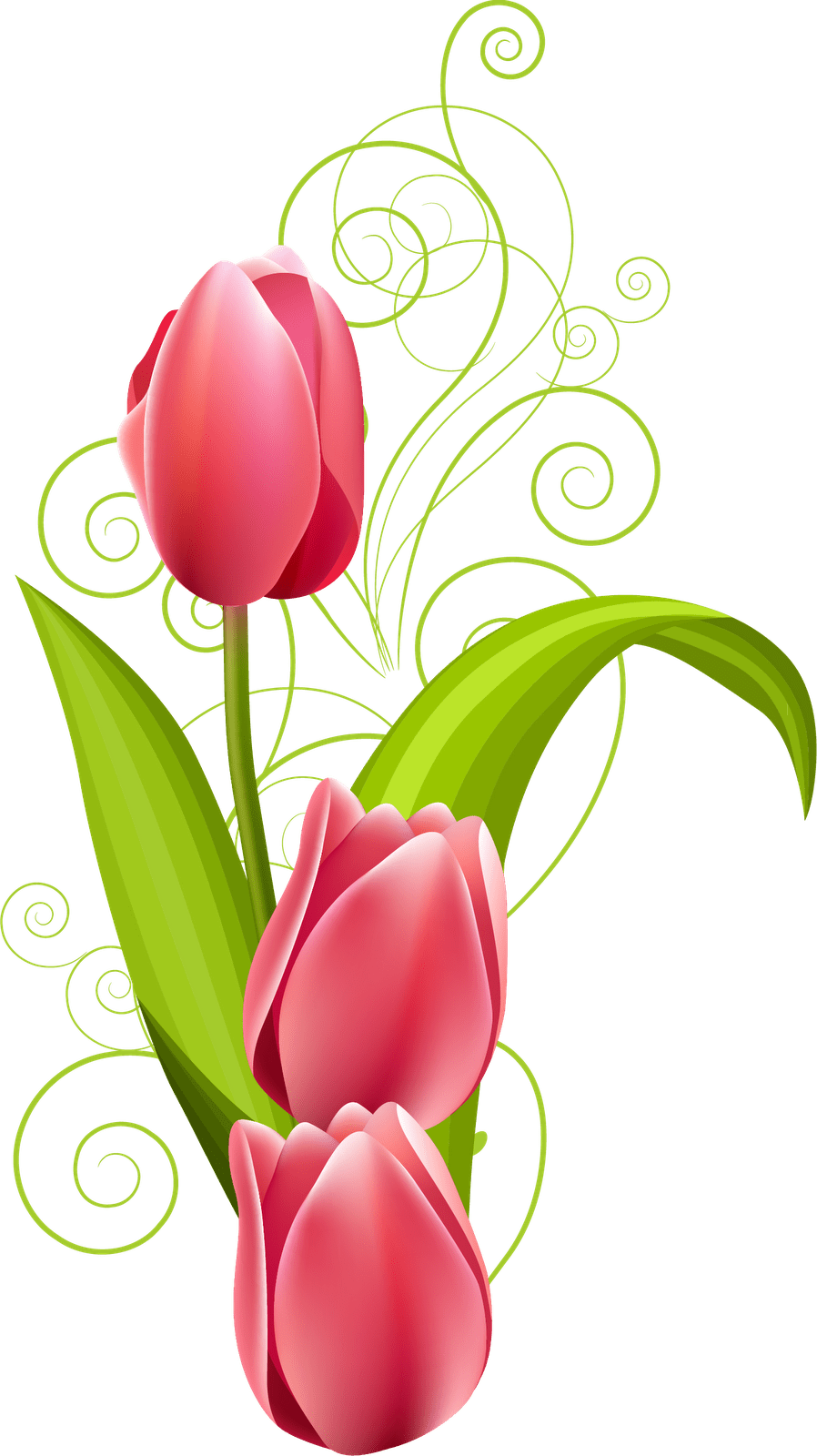 Wiosenne Kwiaty Clipart 4 By Eddie - Cliparty Kwiaty Wiosenne (898x1600)