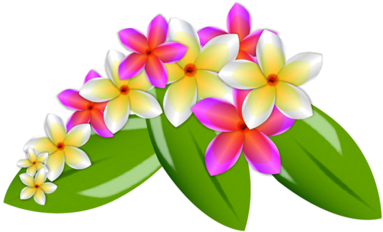 Explore Leaves Vector, Vector Flowers, And More - Vector Flowers (600x415)