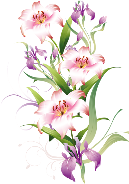 Lilium Decoration Png Clipart Picture - Clip Art (420x600)