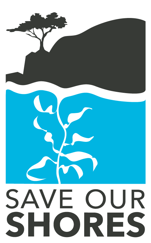 Image Result For Save Our Shores Clip Art - Save Our Shores Logo (780x782)