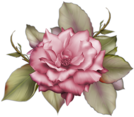 寧々 おんな 太閤 記 (484x422)