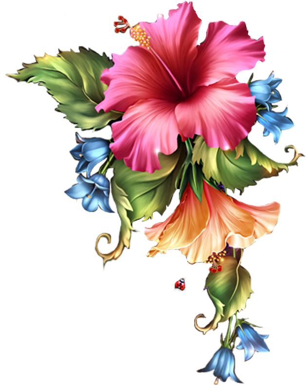 0 C324f B58eb52f Orig - Flores Png Sem Fundo Branco (650x844)