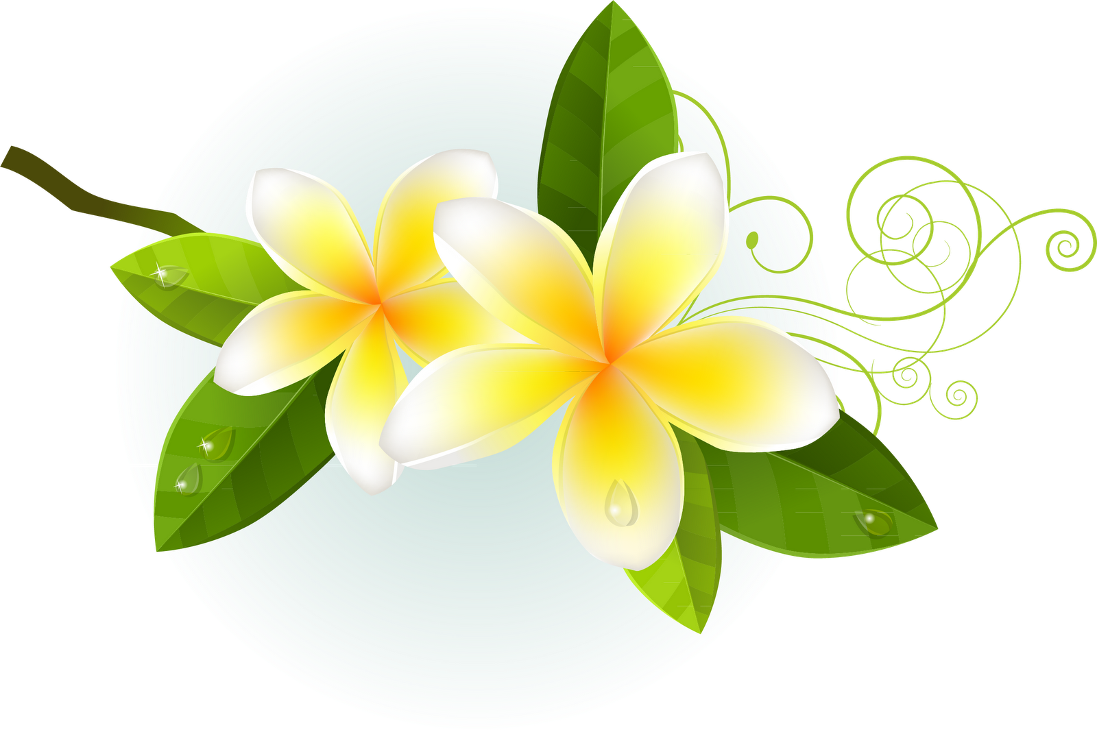 ดอกไม้ การ์ตูน เล็ก ๆ (1600x1068)