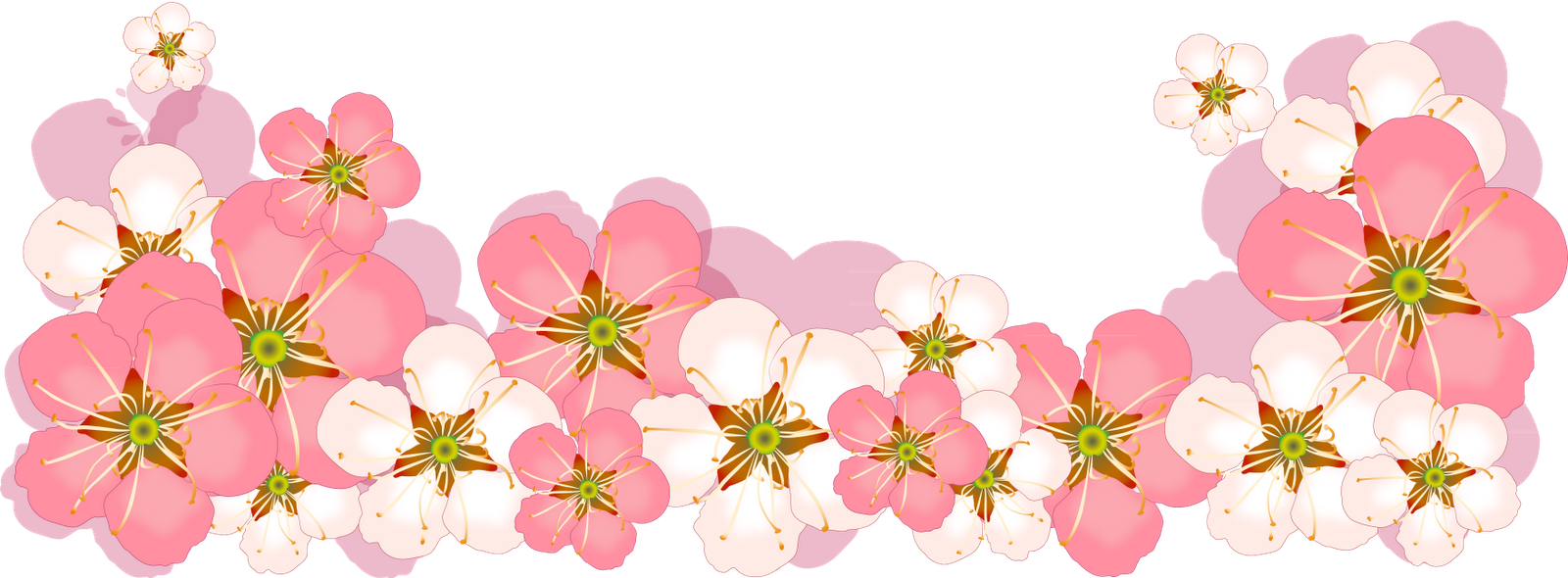 Flower Drawing Clip Art - Clipart Wiosenne Kwiaty (1600x590)