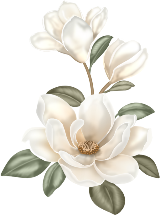 0 B91ab 1ff558ab Xl - Clip Art (525x700)