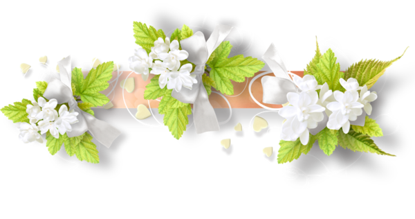 Kwiaty, Flores, Kwiaty, Kwiaty, Png - Portable Network Graphics (600x316)