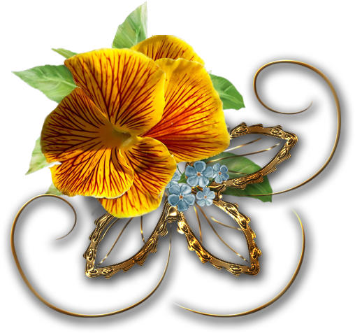 Illustration (555x536)